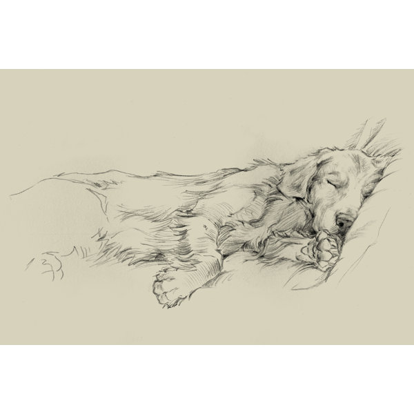 Winston Porter Dog Days III On Canvas Print Wayfair